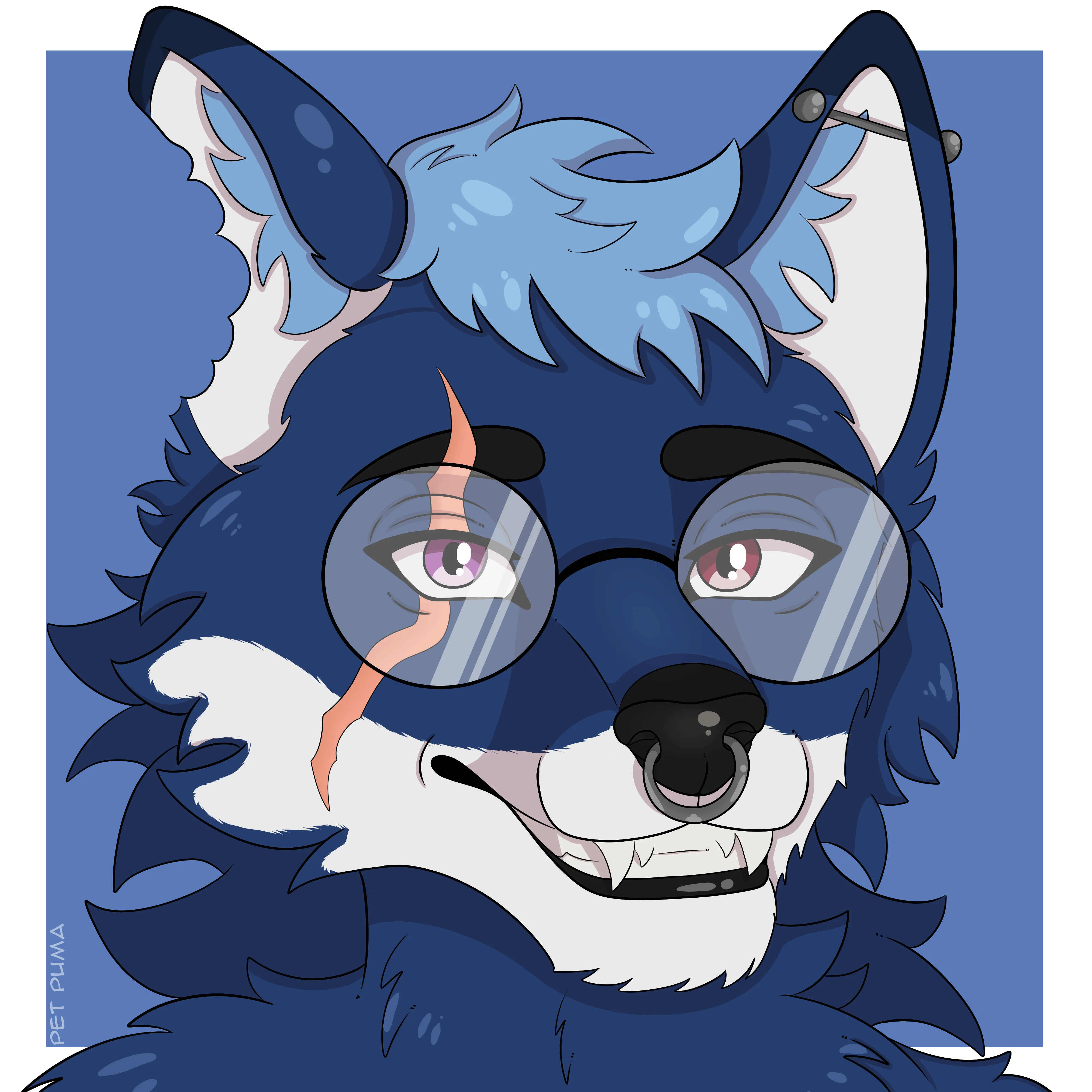 Headshot — PetPuma